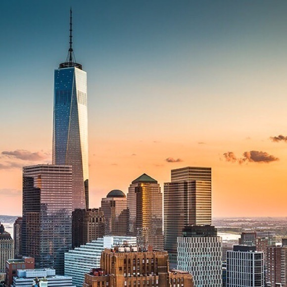 Meet your Posher, LouLou - Picture 3 of 3